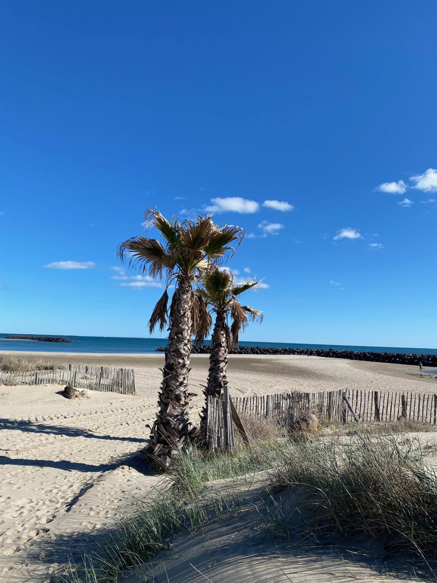 Appart - T3 - 6 Personnes - Golf Cap D'Agde Exteriör bild